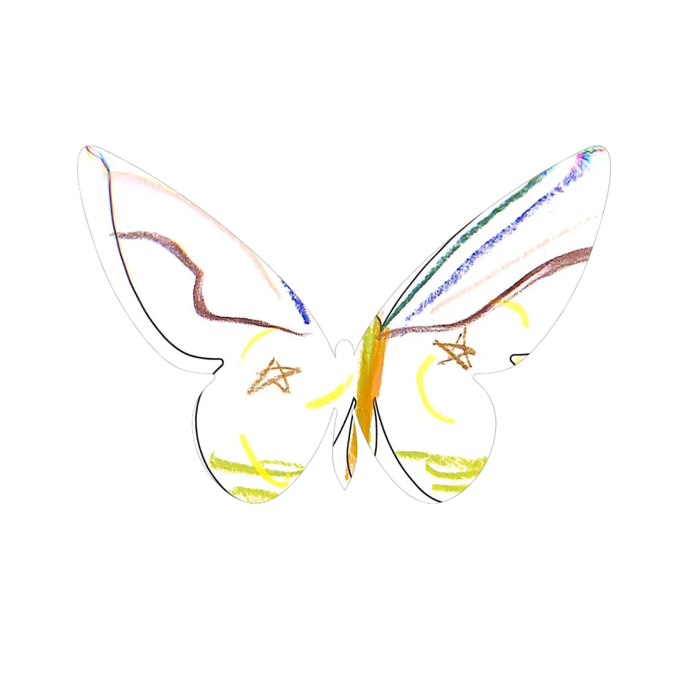 Original Butterfly Image