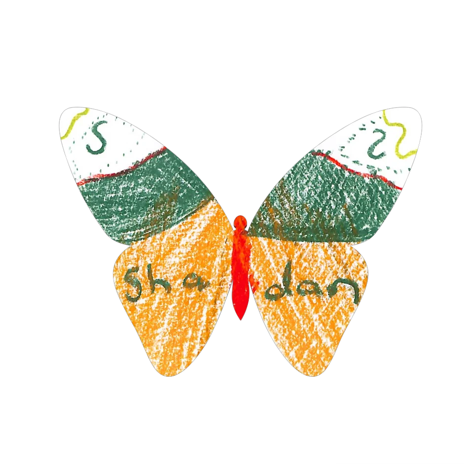 Original Butterfly Image