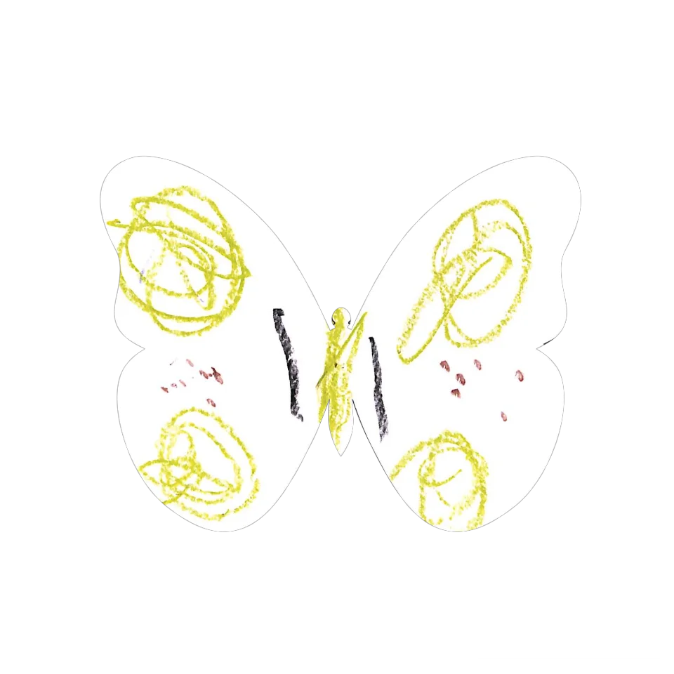 Original Butterfly Image