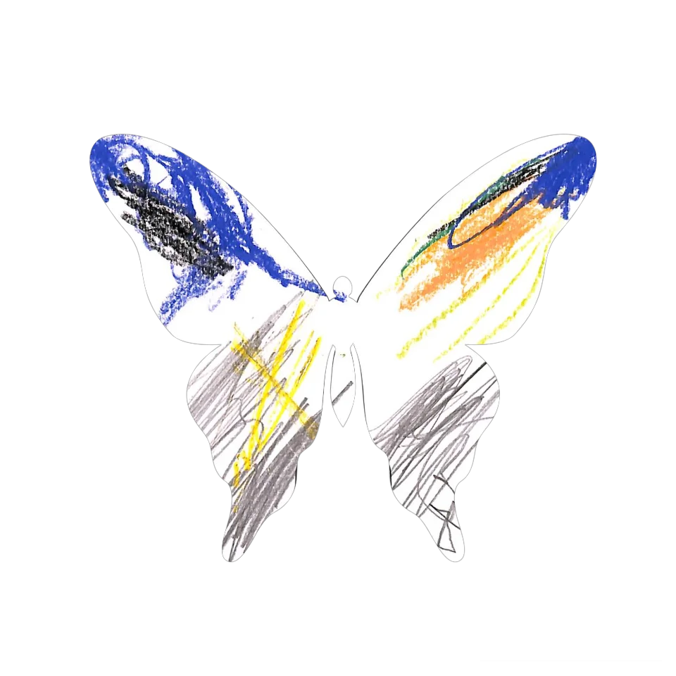 Original Butterfly Image