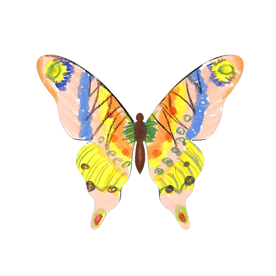 Original Butterfly Image