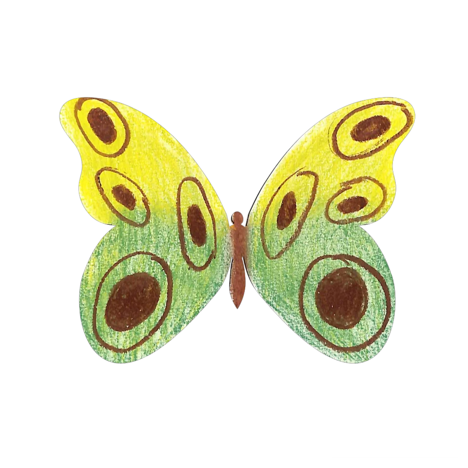 Original Butterfly Image