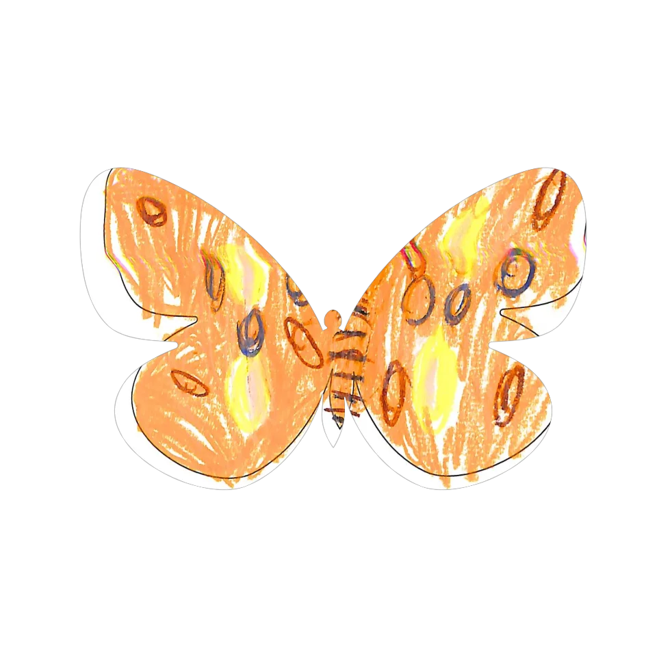 Original Butterfly Image