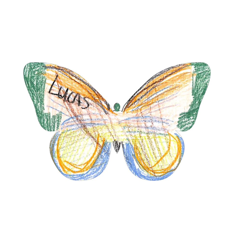 Original Butterfly Image