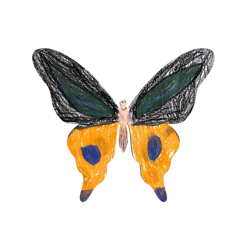 Original Butterfly Image