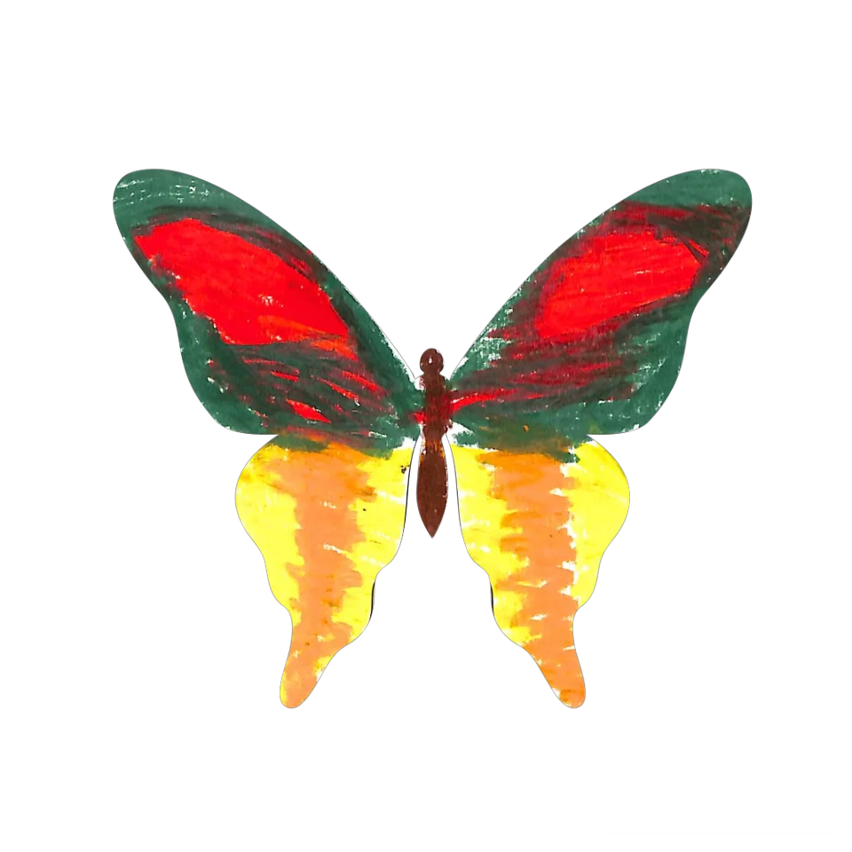 Original Butterfly Image
