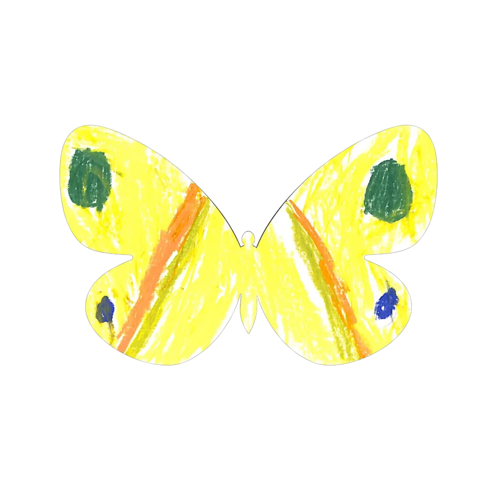 Original Butterfly Image