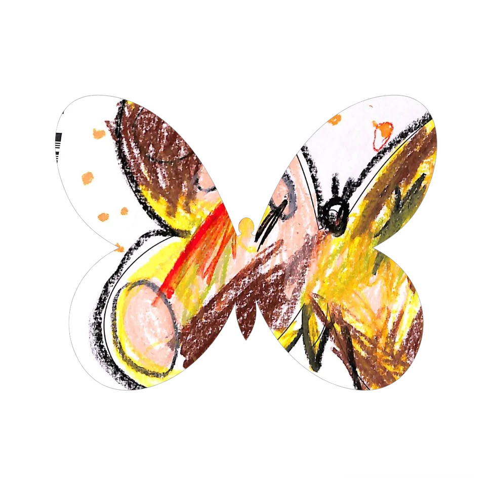 Original Butterfly Image