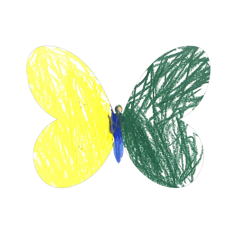 Original Butterfly Image