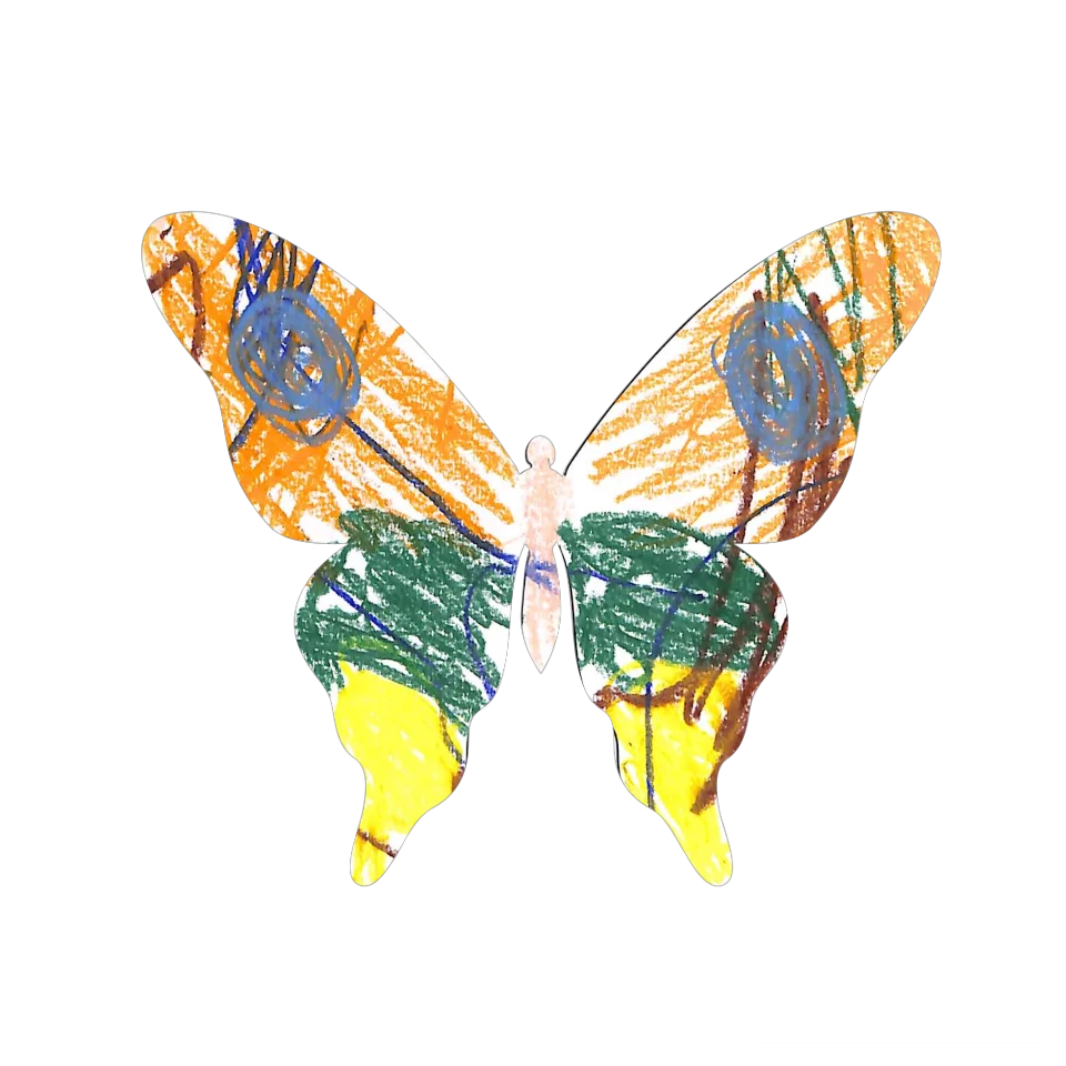 Original Butterfly Image