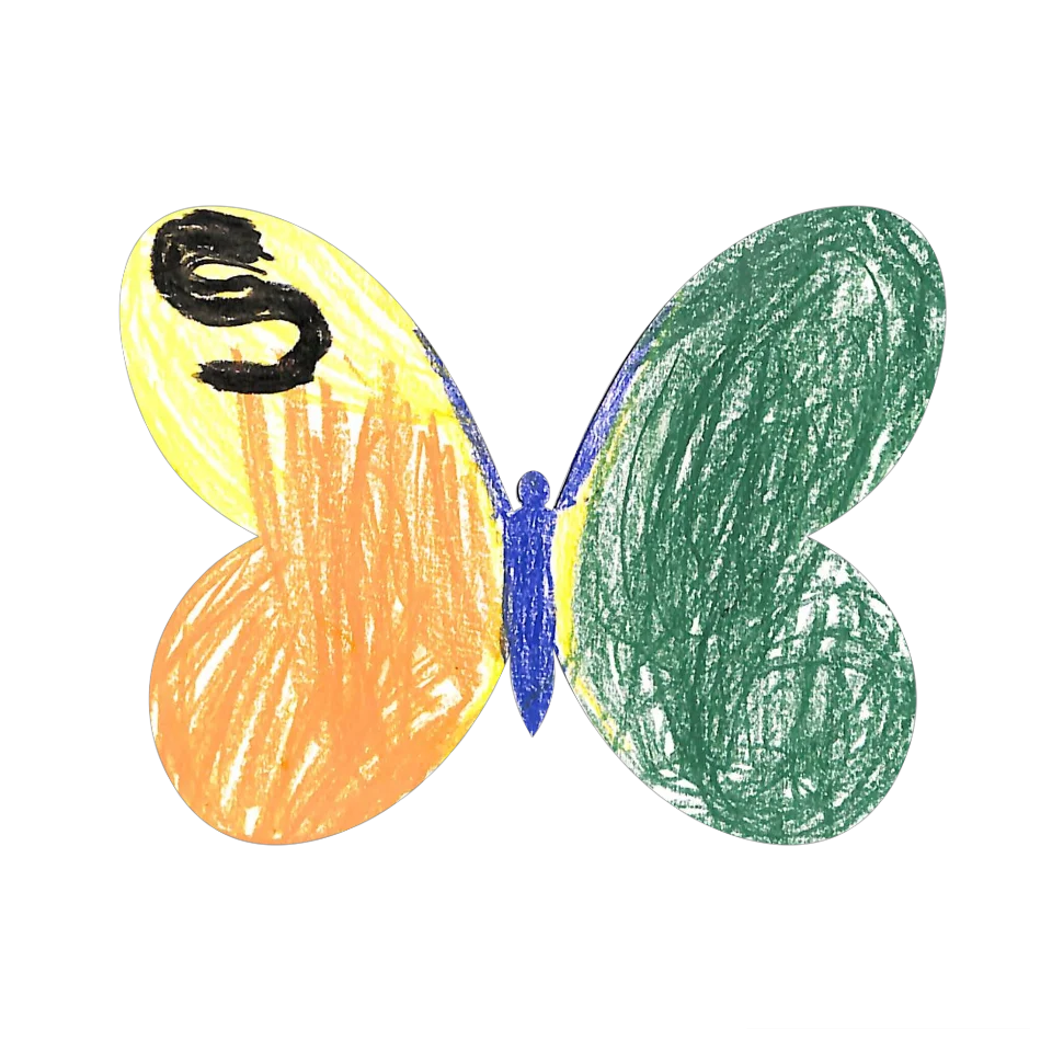 Original Butterfly Image