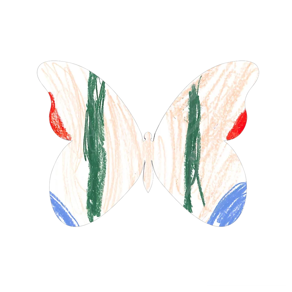 Original Butterfly Image