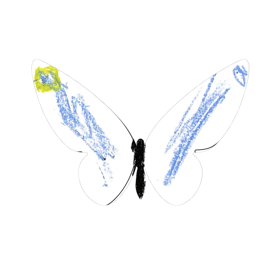 Original Butterfly Image