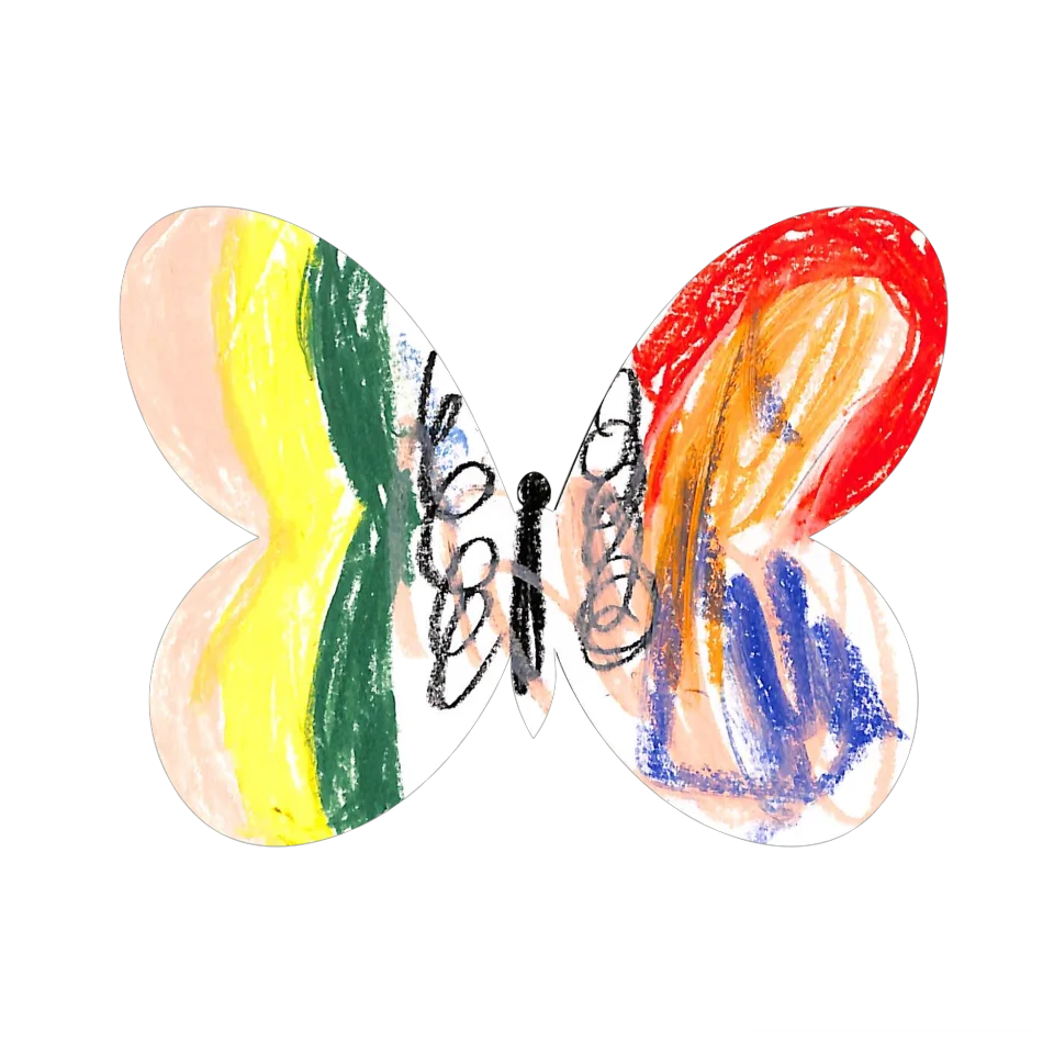 Original Butterfly Image