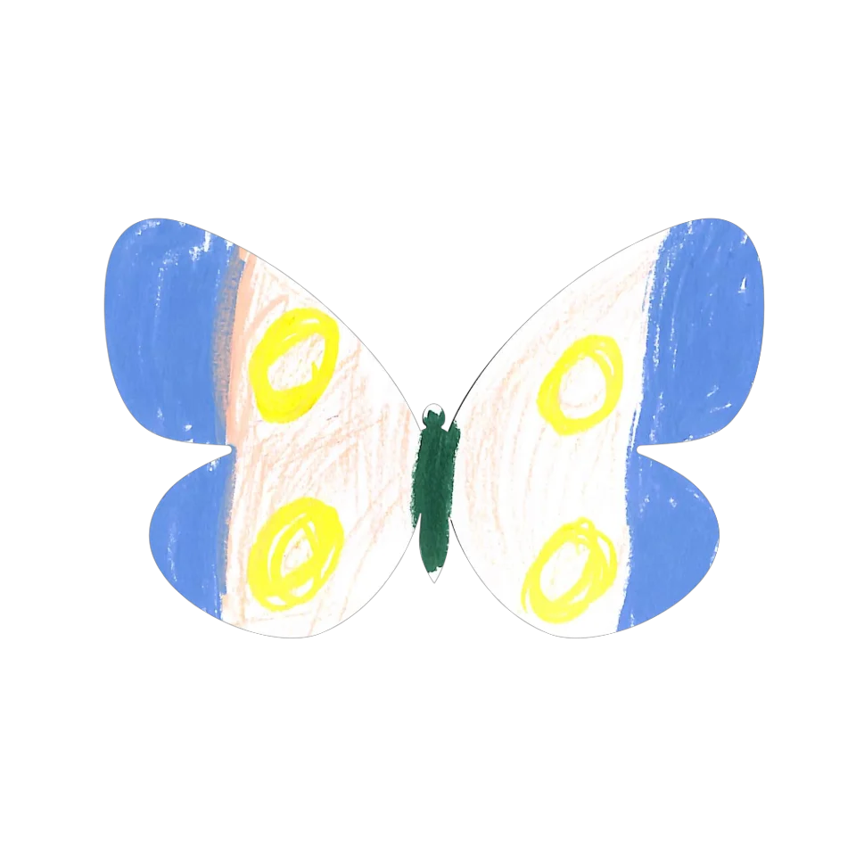 Original Butterfly Image