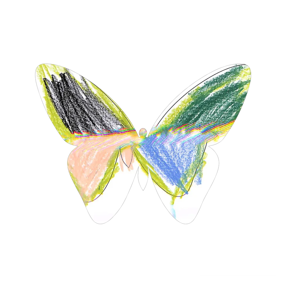 Original Butterfly Image