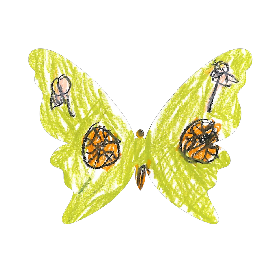 Original Butterfly Image