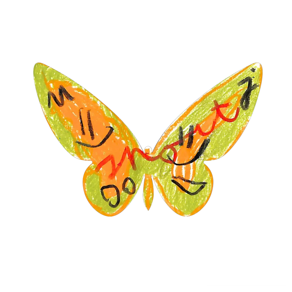 Original Butterfly Image