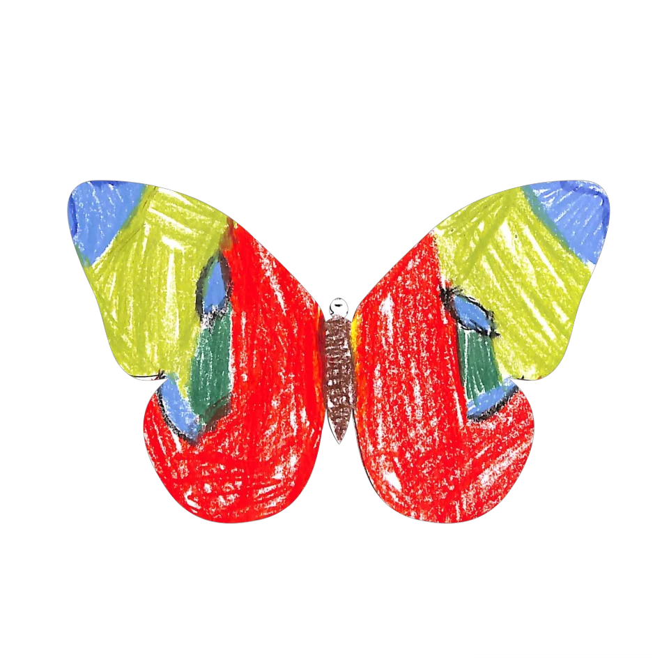 Original Butterfly Image