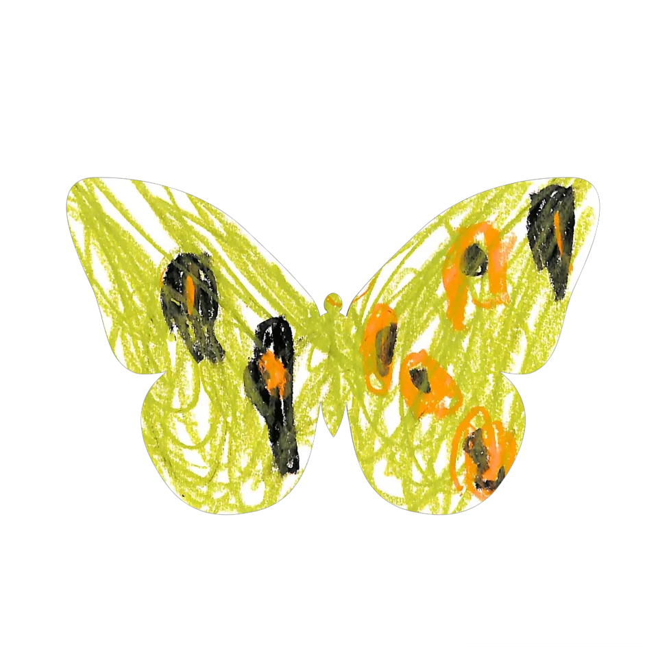 Original Butterfly Image