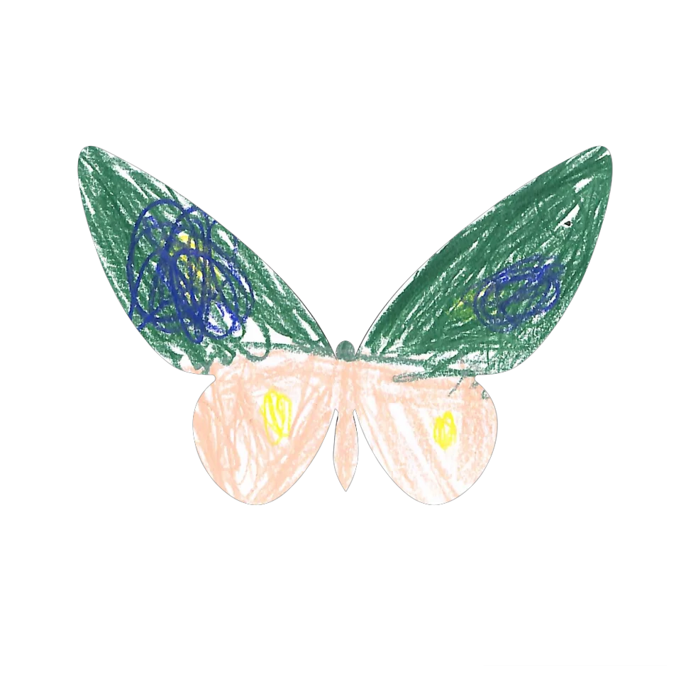 Original Butterfly Image