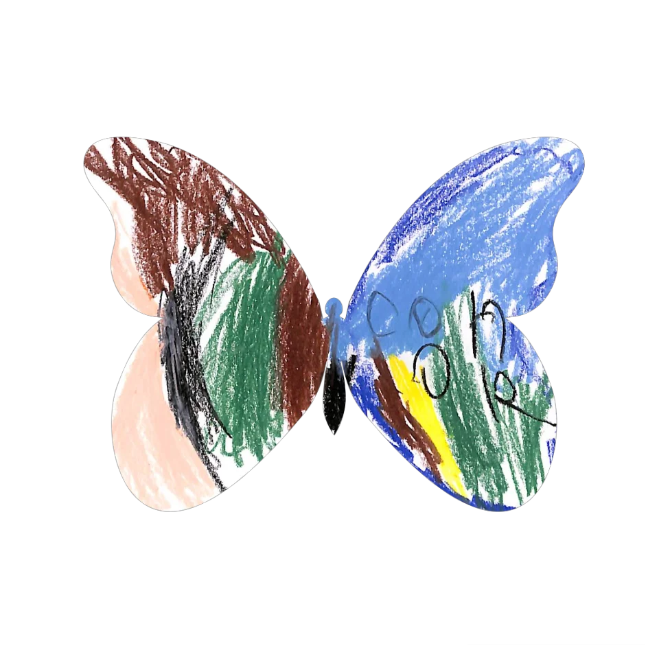 Original Butterfly Image