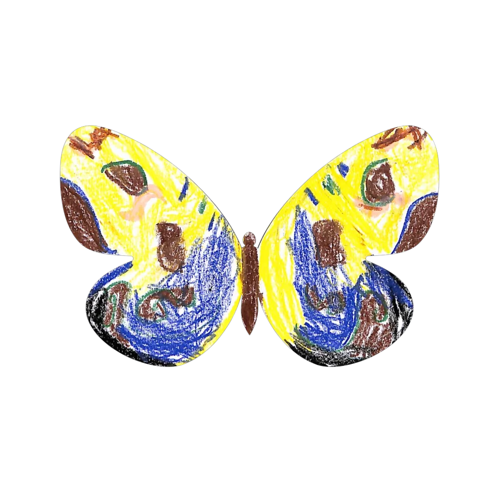 Original Butterfly Image