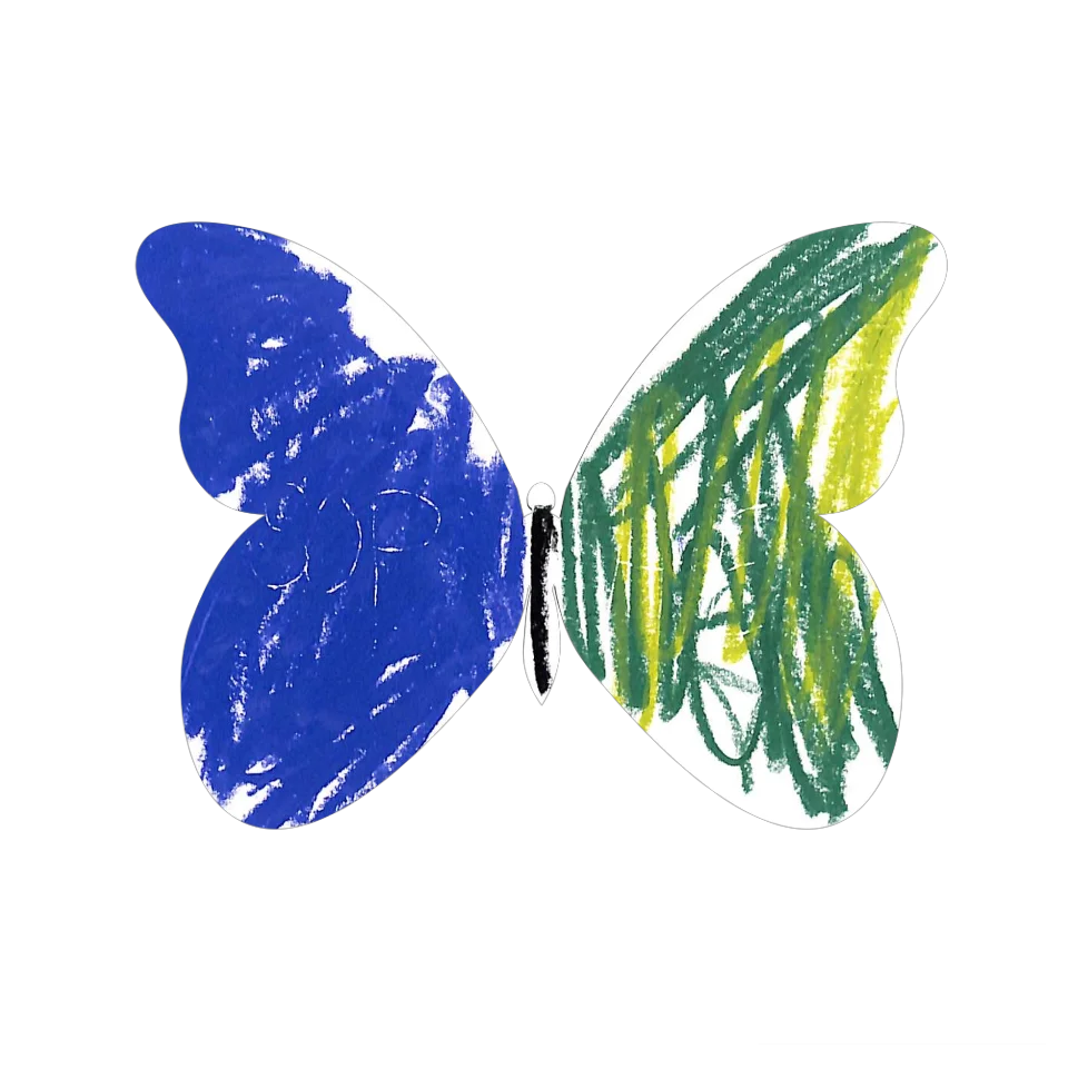Original Butterfly Image