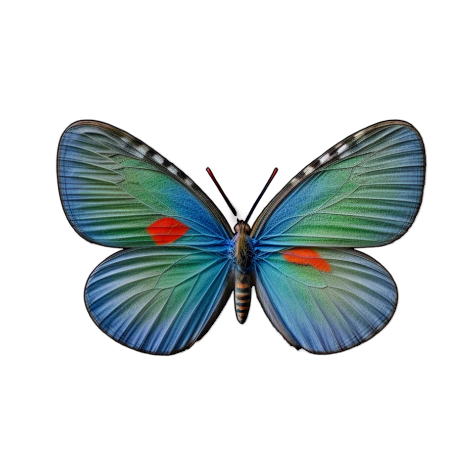 Generated Butterfly Image