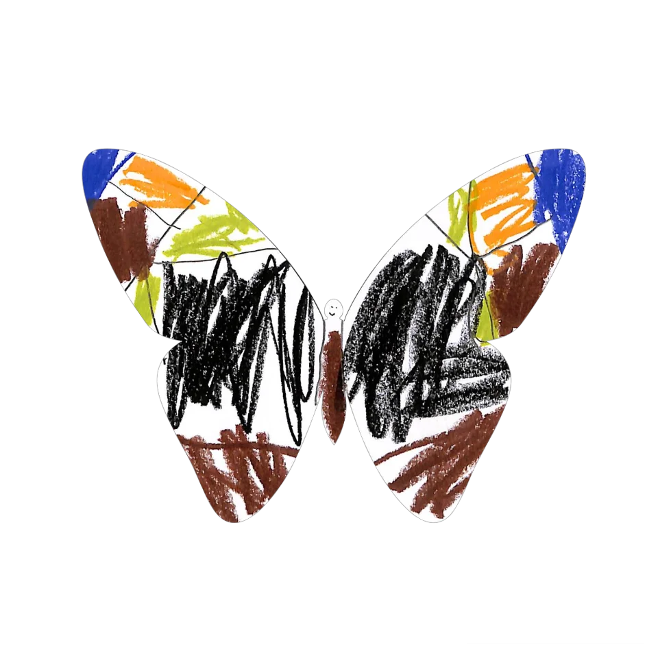 Original Butterfly Image