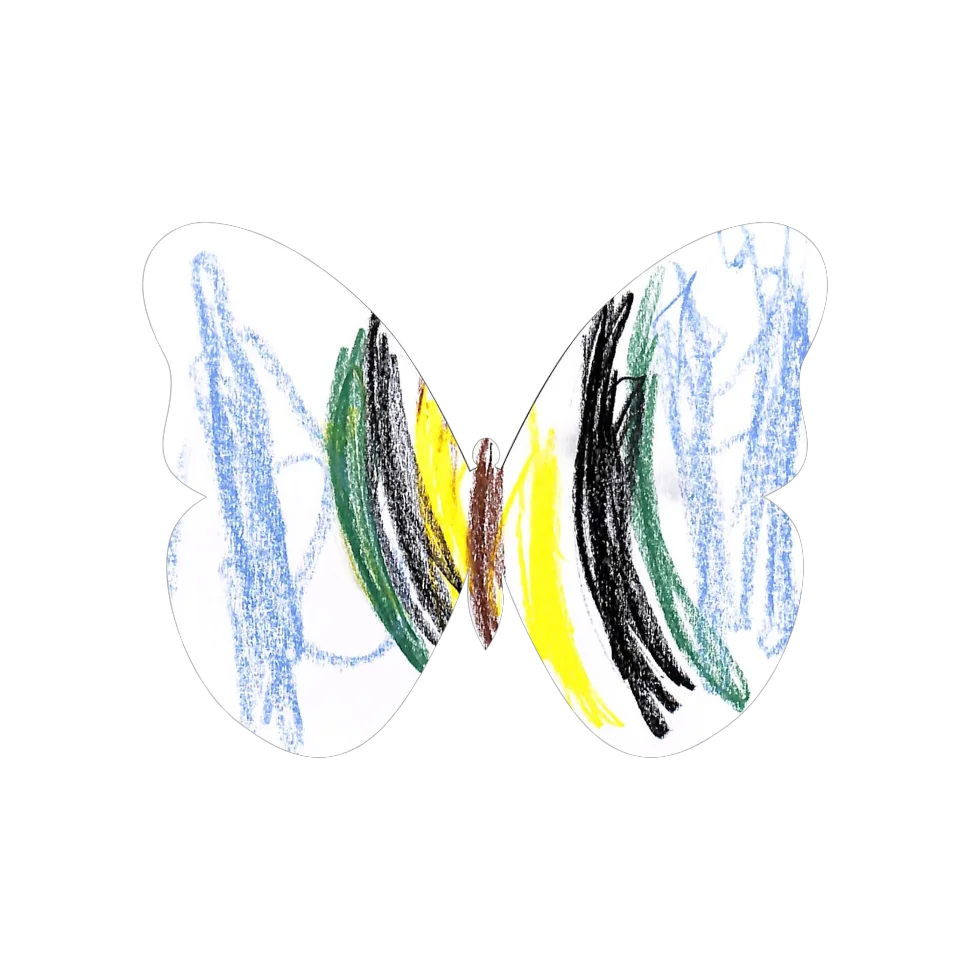 Original Butterfly Image