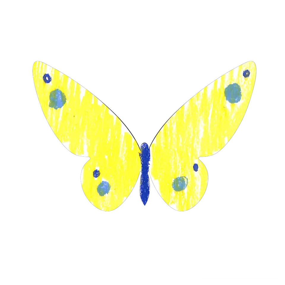 Original Butterfly Image