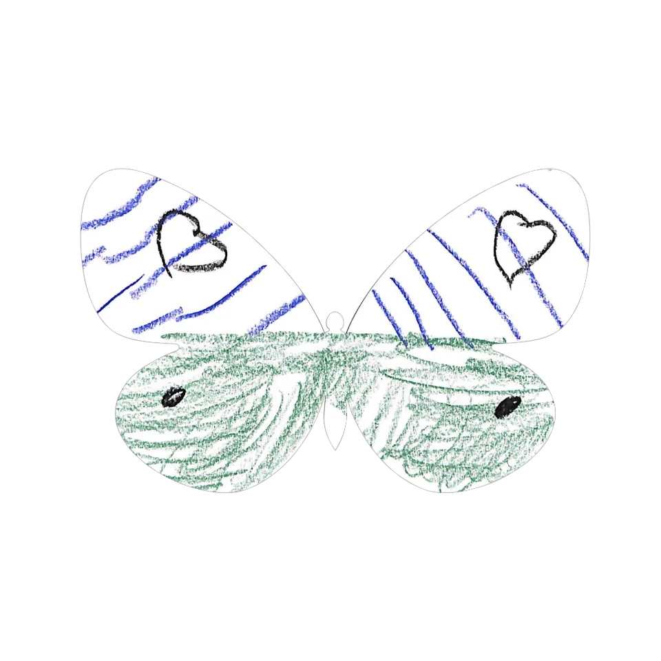 Original Butterfly Image