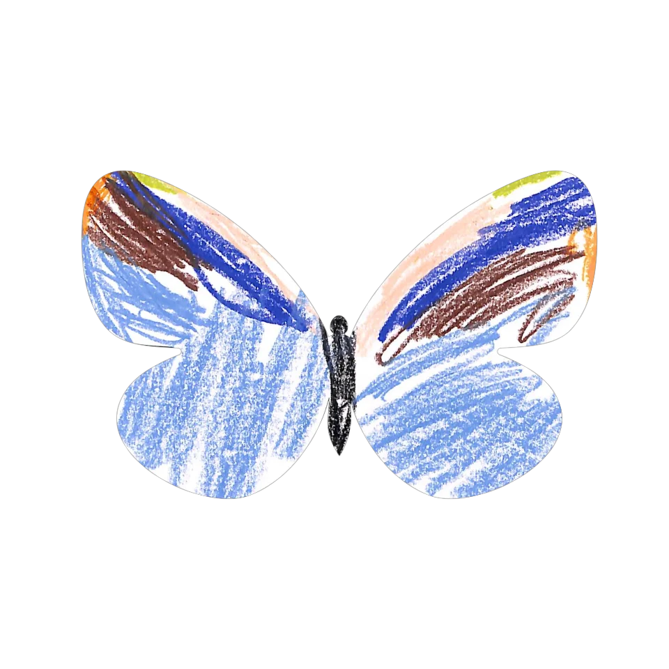 Original Butterfly Image