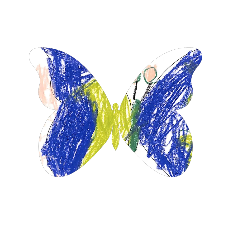 Original Butterfly Image