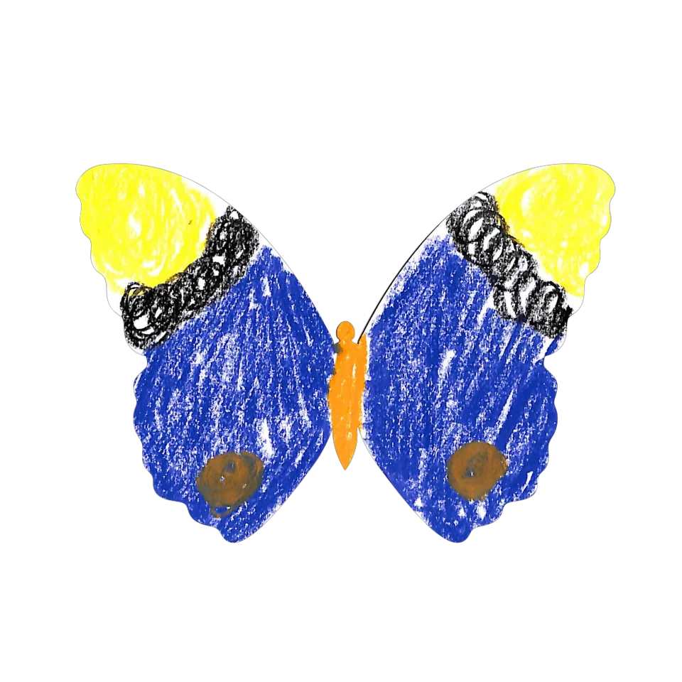 Original Butterfly Image