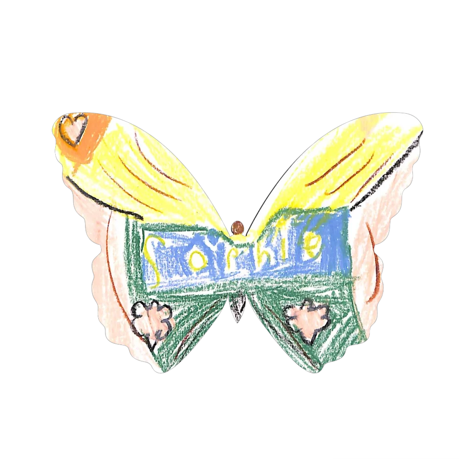 Original Butterfly Image