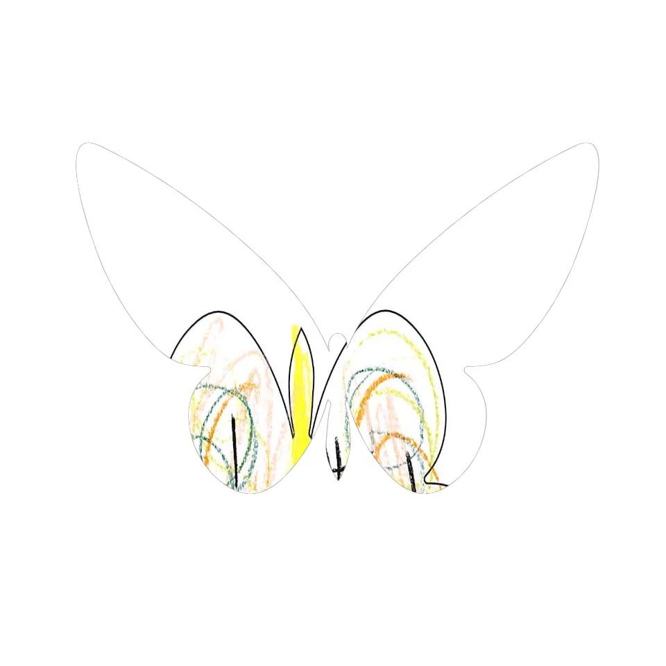 Original Butterfly Image