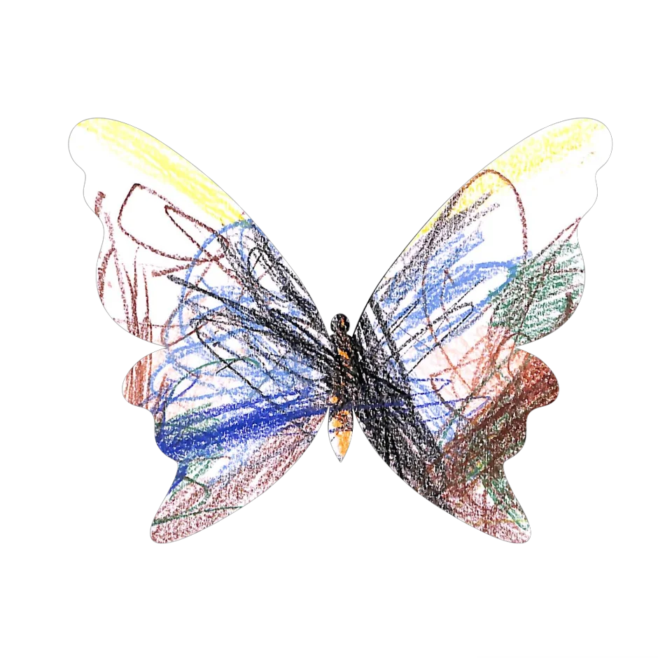 Original Butterfly Image