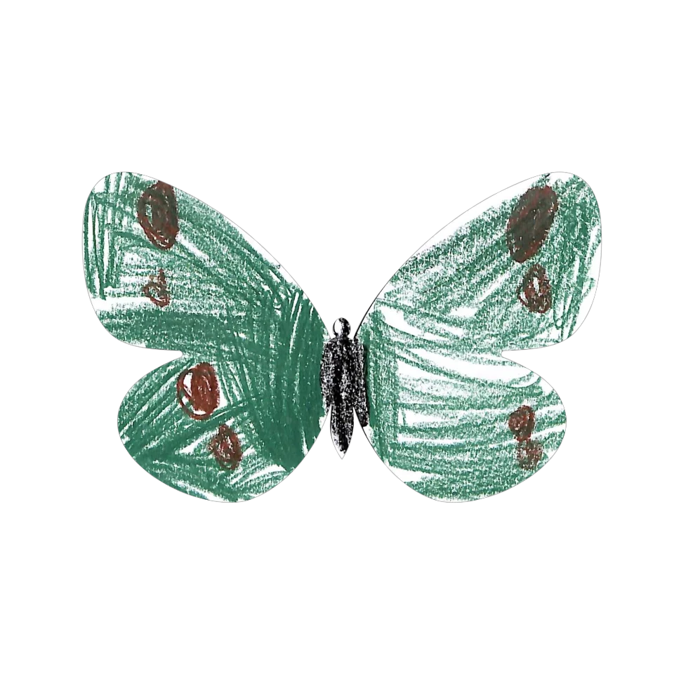 Original Butterfly Image