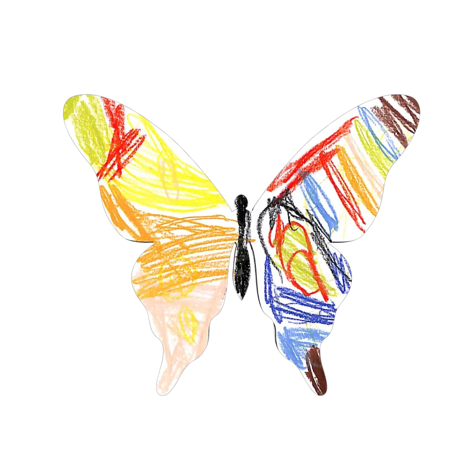 Original Butterfly Image