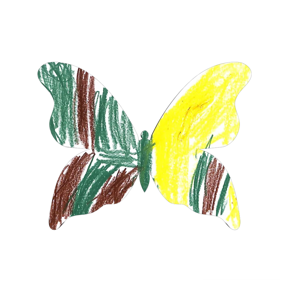Original Butterfly Image