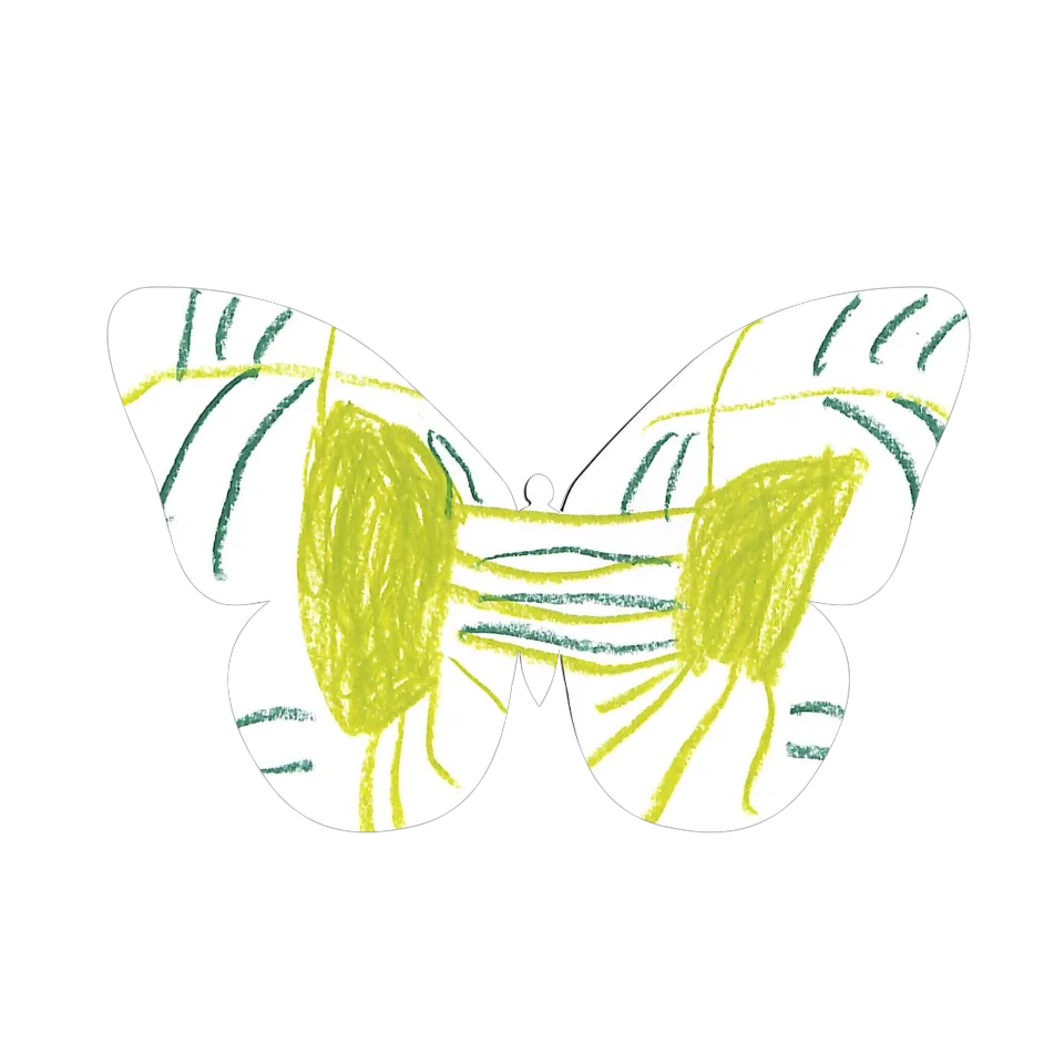 Original Butterfly Image