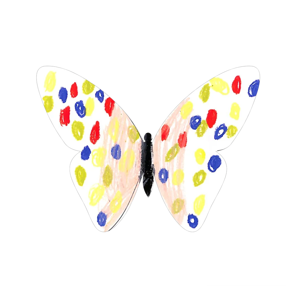 Original Butterfly Image