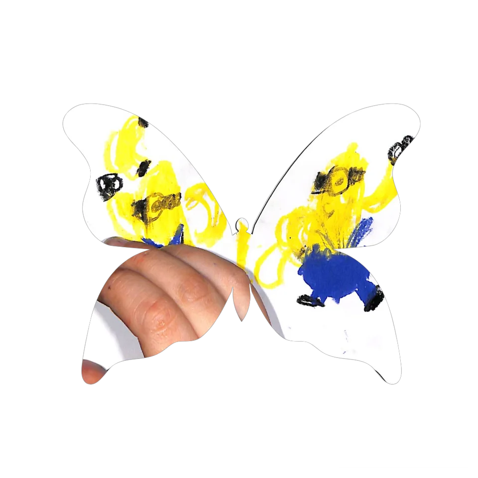 Original Butterfly Image