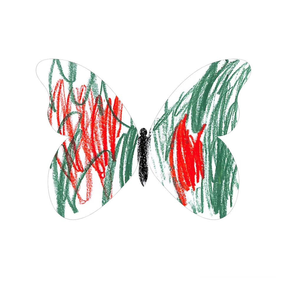 Original Butterfly Image