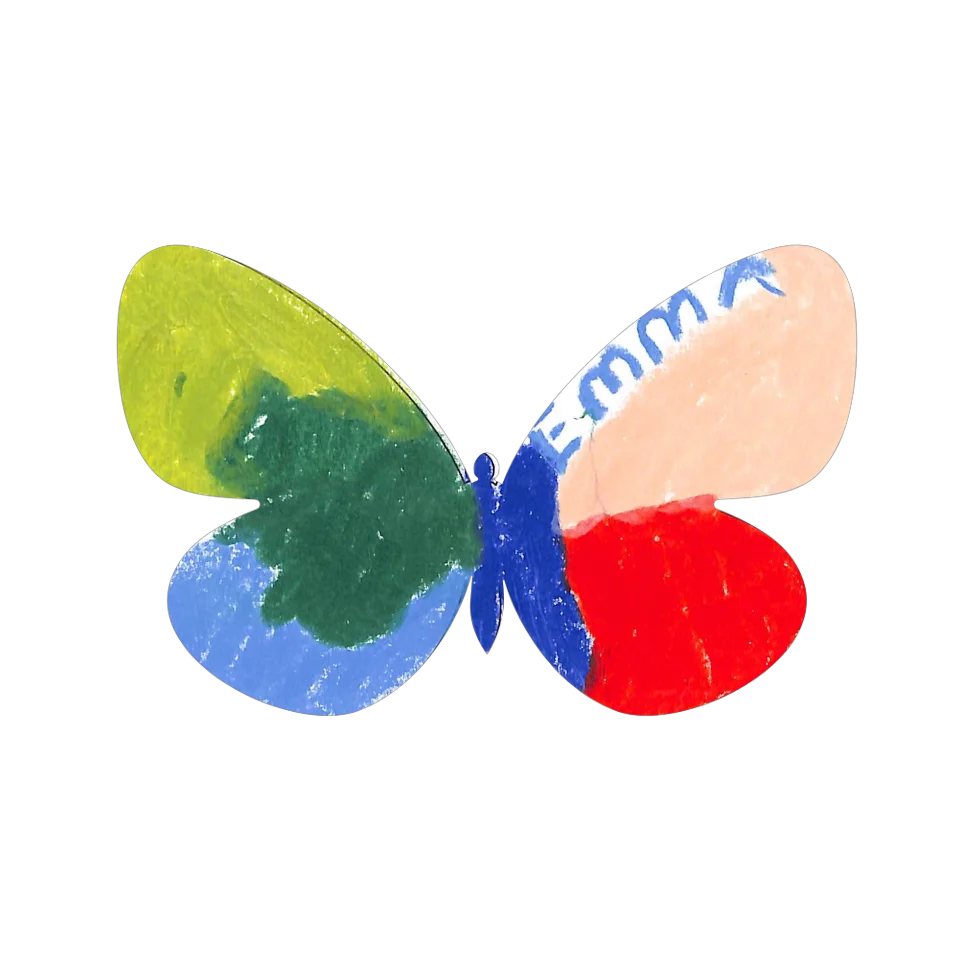 Original Butterfly Image