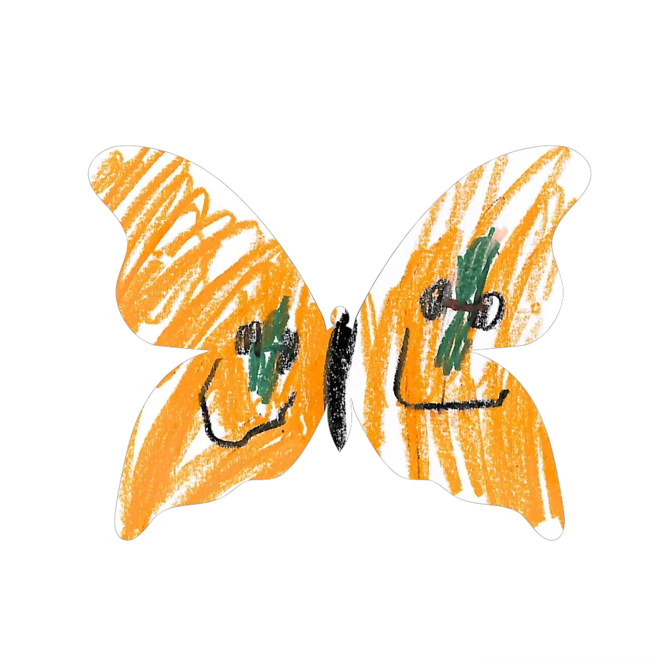 Original Butterfly Image