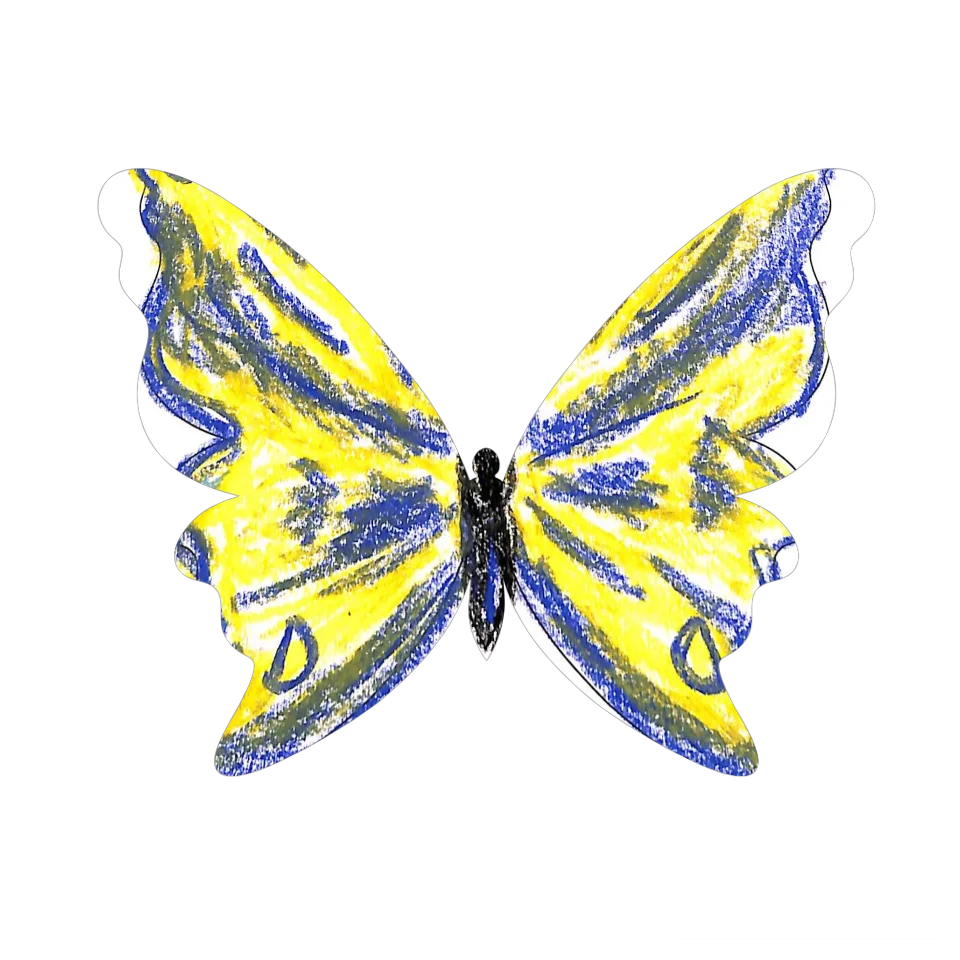Original Butterfly Image