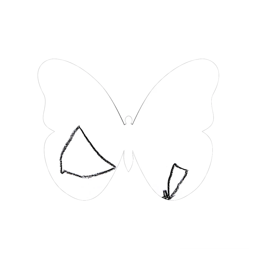 Original Butterfly Image